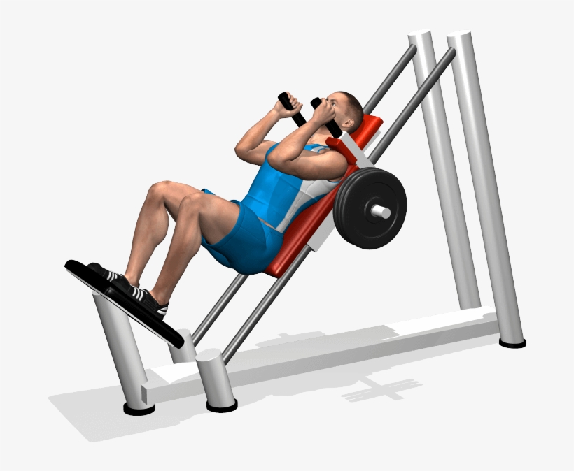 Evolutionfit - Hack Squat - Macchina Per Gli Squat, transparent png