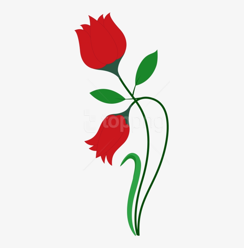 Free Png Rose Flower Vector Png - Rose Flower Images Drawing, transparent png