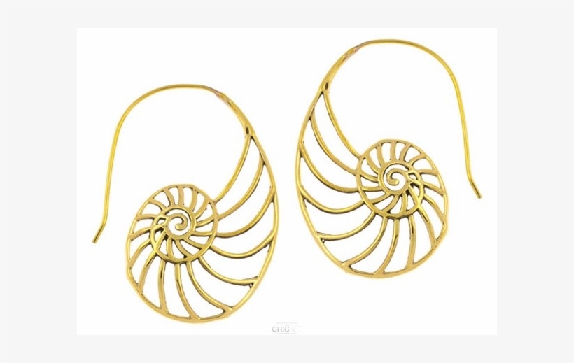 Earrings, transparent png