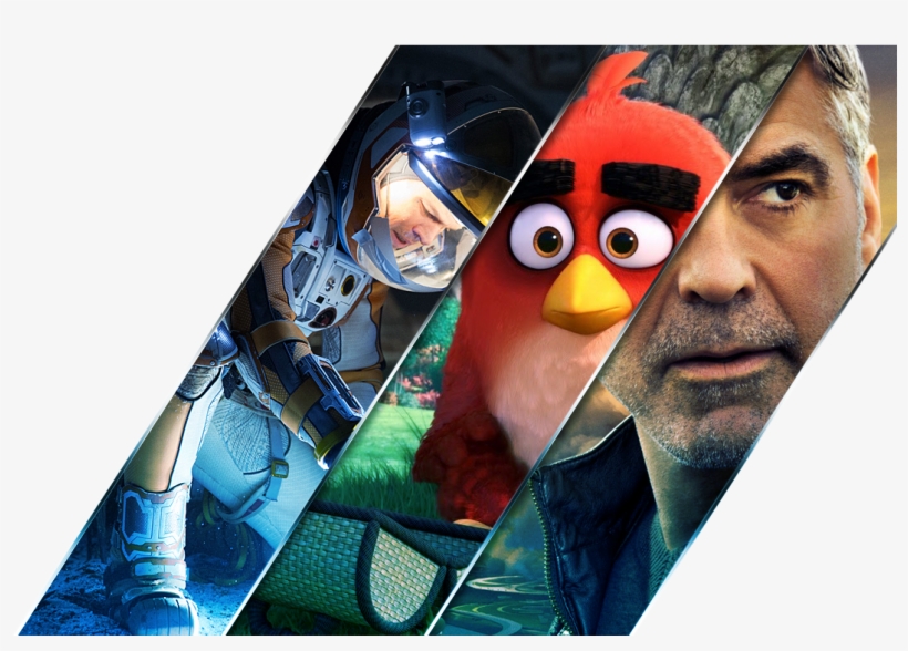 More Information - Full Hd Wallpaper For Mobile Of Birds, transparent png