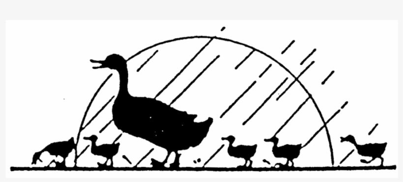 Zoom Duck With Ducklings Rubber Stamp - Illustration, transparent png