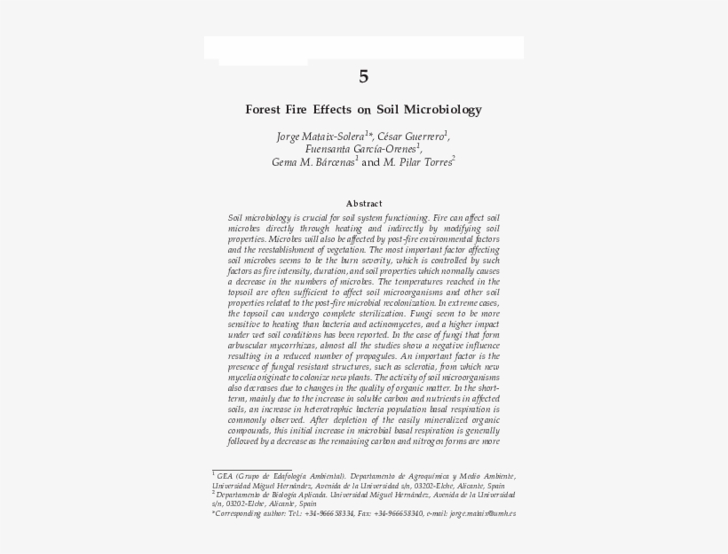 Forest Fire Effects On Soil Microbiology - Environment Pollution In Nepali, transparent png