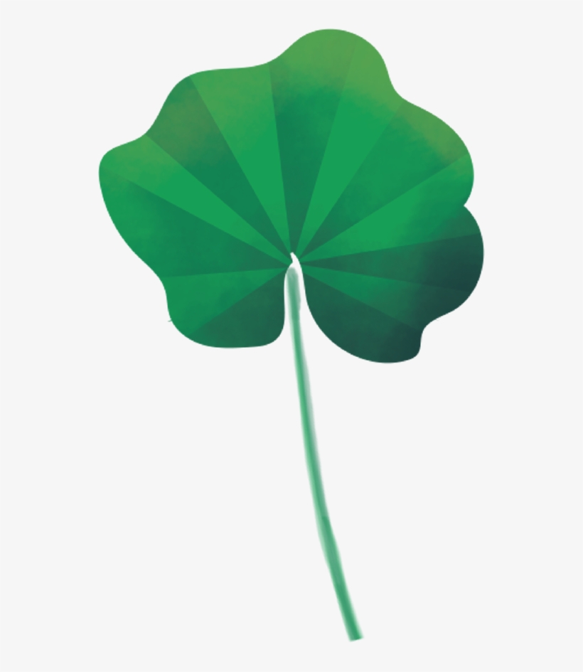Mallow Illustration Haviva Seligson, transparent png