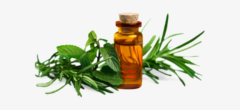 Essential Oils - Essential Oil, transparent png