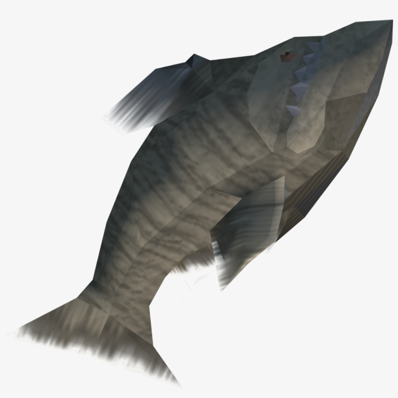 Stone Fish Is An Item Used In The Quest Druidic Ritual - Eagle, transparent png