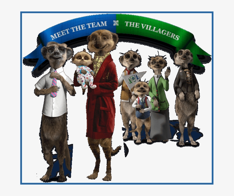 Meerkats Update - Compare The Meerkat Names, transparent png