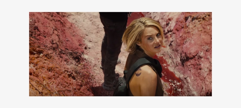 Shailene Woodley Interpreta A Mocinha Tris, Em A Série - Lace Wig, transparent png
