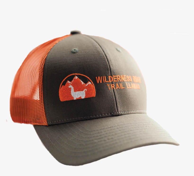 Wrtl Brown Trucker Hat - Baseball Cap, transparent png