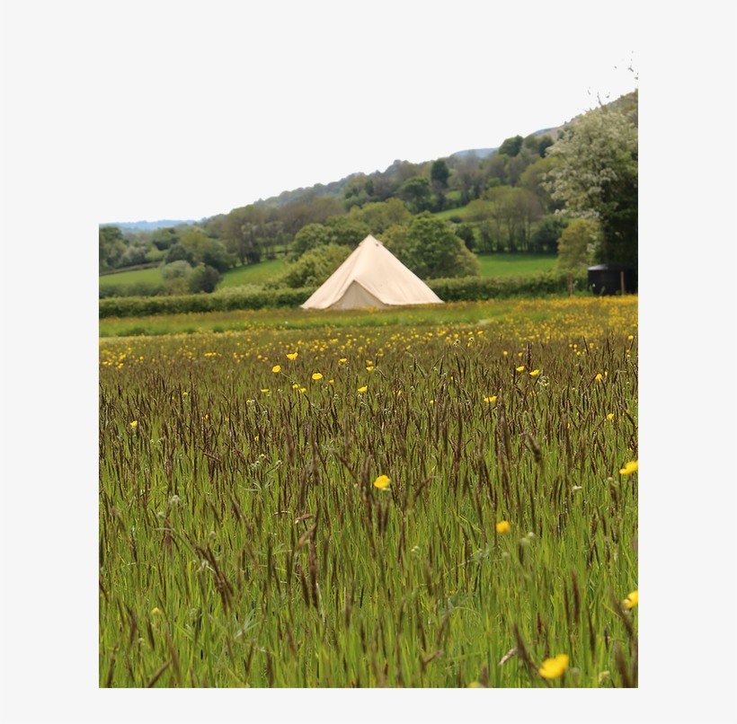 Chapel House Farm Campsite - Field, transparent png