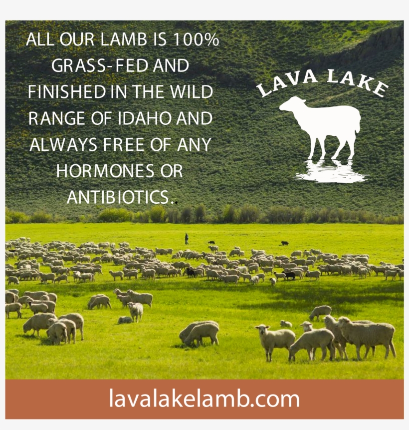 Po Box 2249, Hailey, Idaho - Grazing, transparent png