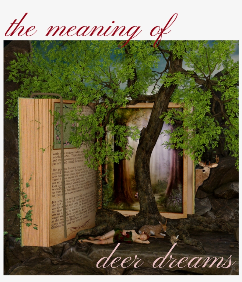 Book, transparent png