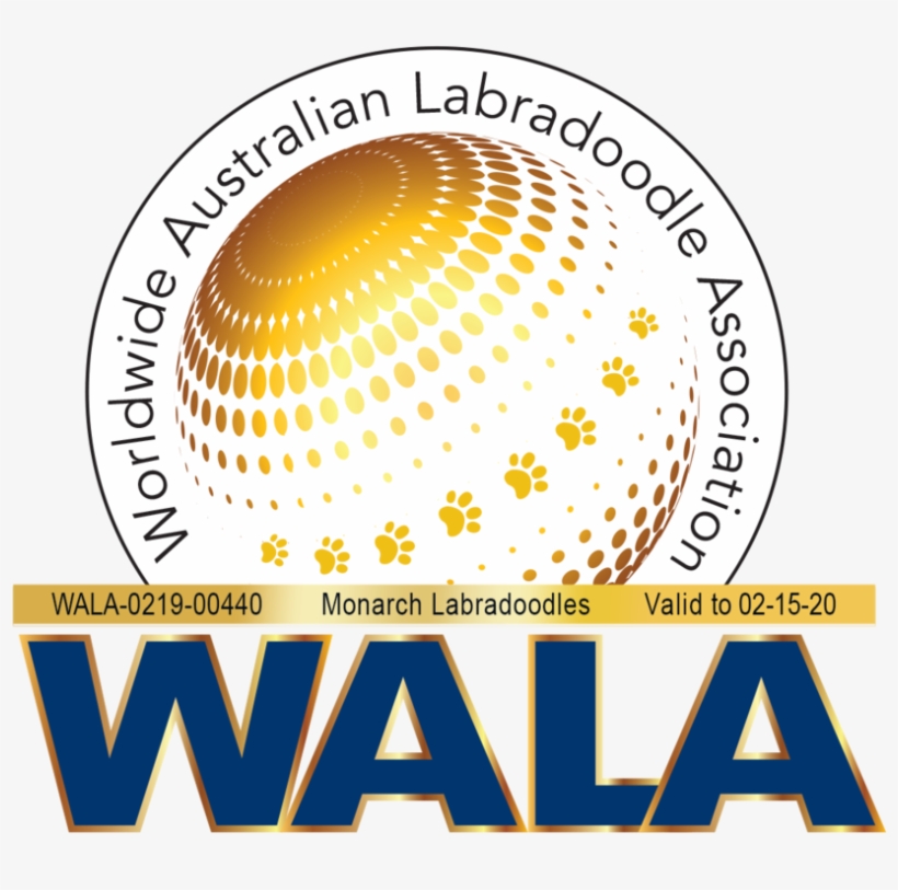 Monarch Wala Logo 0219 00440 - Labradoodle, transparent png