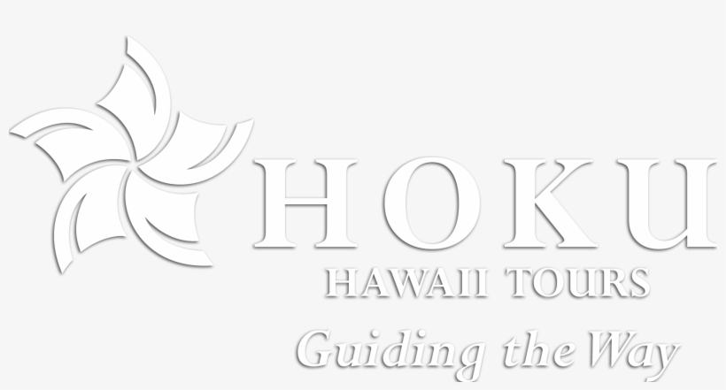 Hoku Logo White Dropshadow - Raker Hydraulics, transparent png