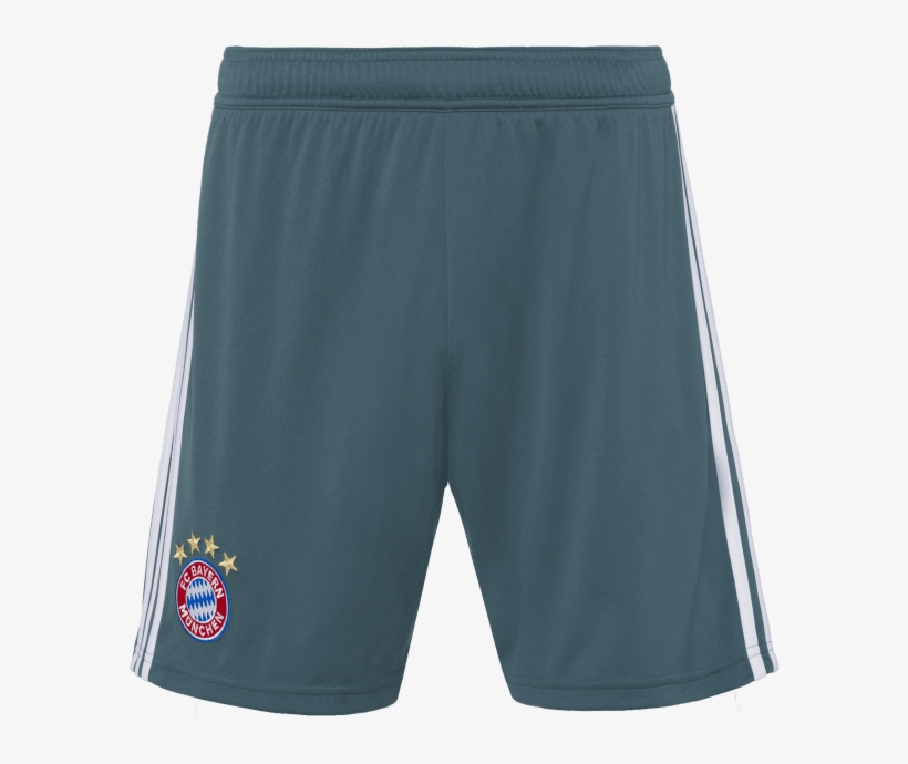 Board Short, transparent png