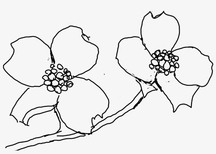 Dogwood Sticker - Line Art, transparent png