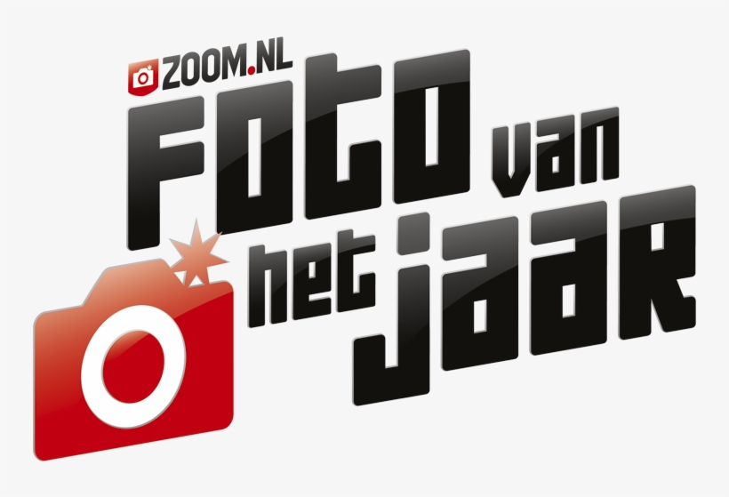 Total Downloads - Graphic Design, transparent png