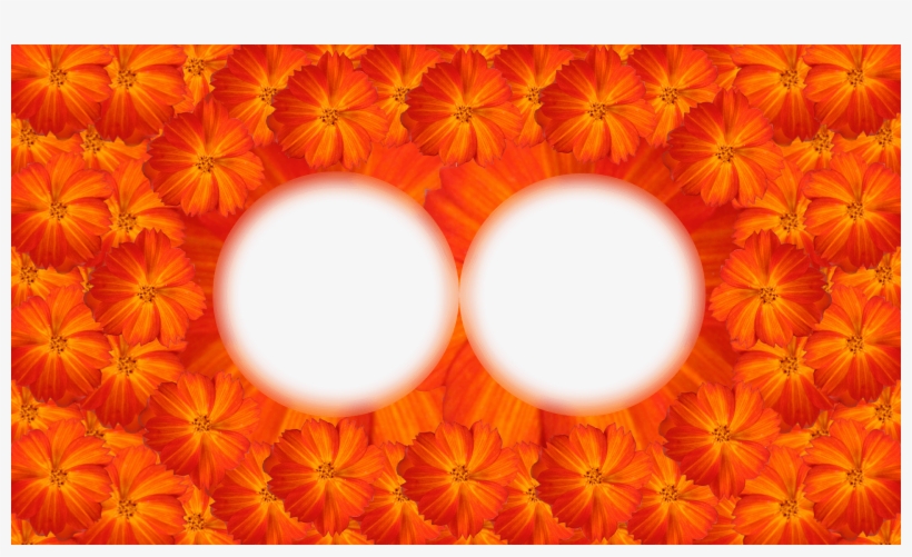 13 Molduras De Flores - Circle, transparent png