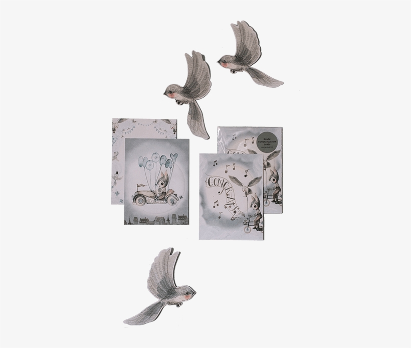 Mrs Mighetto 'land Of Birds' 2-pack Congratulations - Stock Dove, transparent png