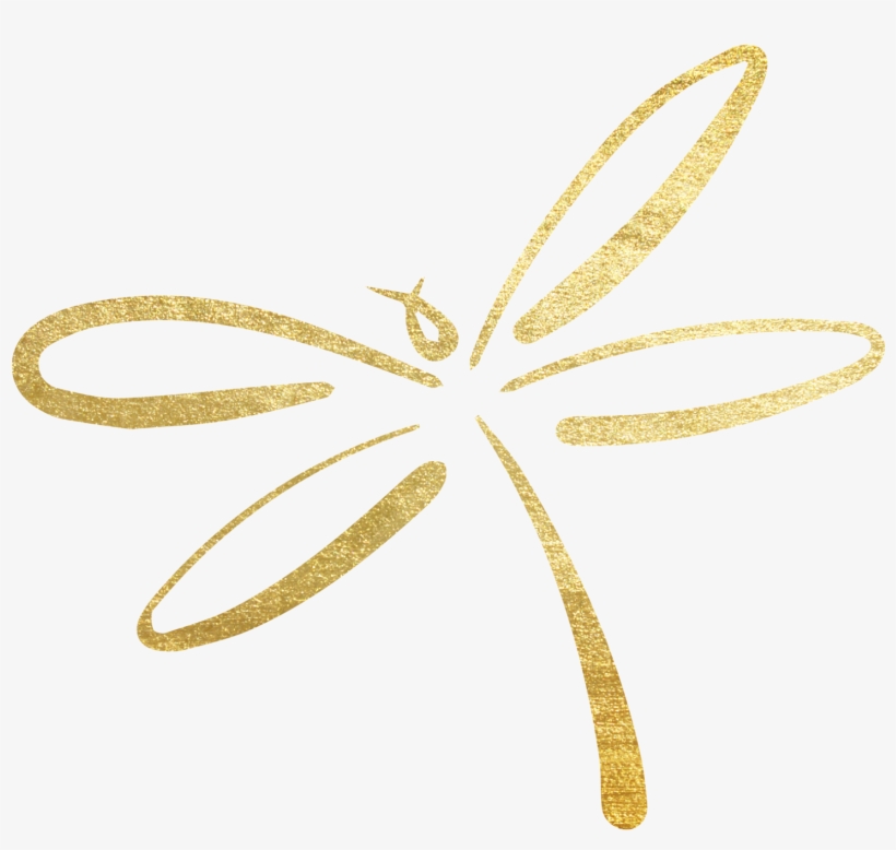 If You Aren't Living Your Best Life, You've Just Forgotten - Dragonfly, transparent png