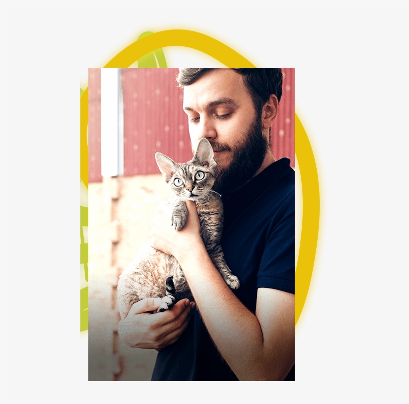 Many Of Our Teams Are Bilingual In Pet Baby Talk - Domestic Short-haired Cat, transparent png