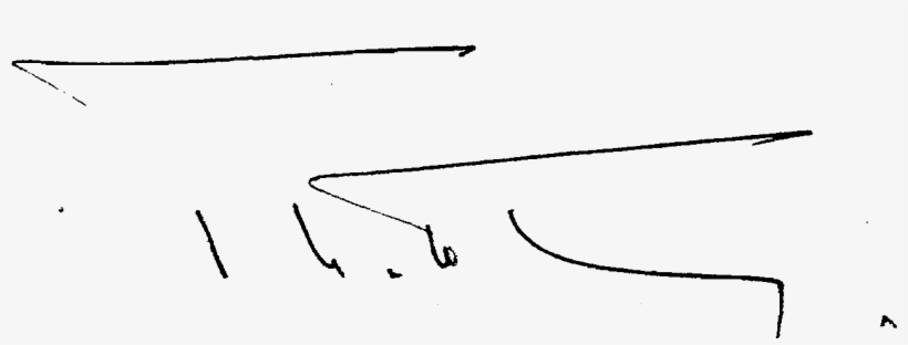 Firma Fernando Matthei - Line Art, transparent png