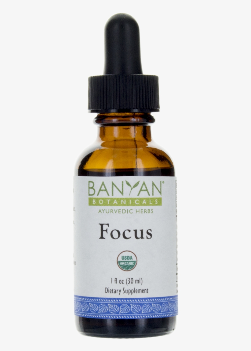 Buy Focus Extract Online - Iherb Argan Oil, transparent png