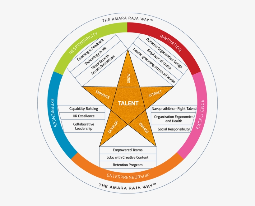 Amara Raja Talent Management Model, transparent png