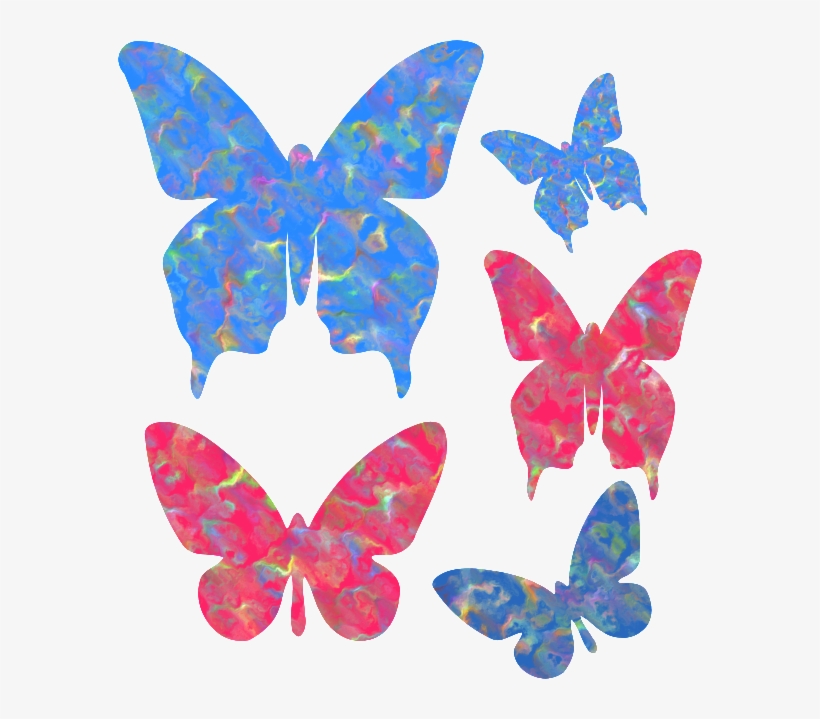 Photobucket - Swallowtail Butterfly, transparent png