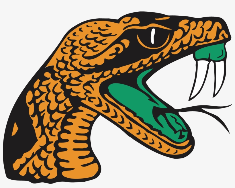 Florida A&m University Student Handbook - Florida A&m University, transparent png