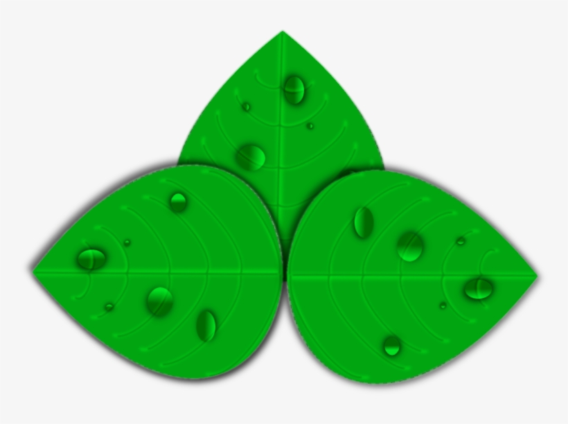 Circle, transparent png