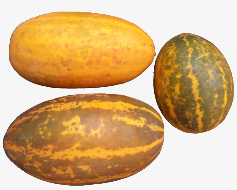 2) Jackfruit Seeds 30 Nos - Kerala Cucumber, transparent png