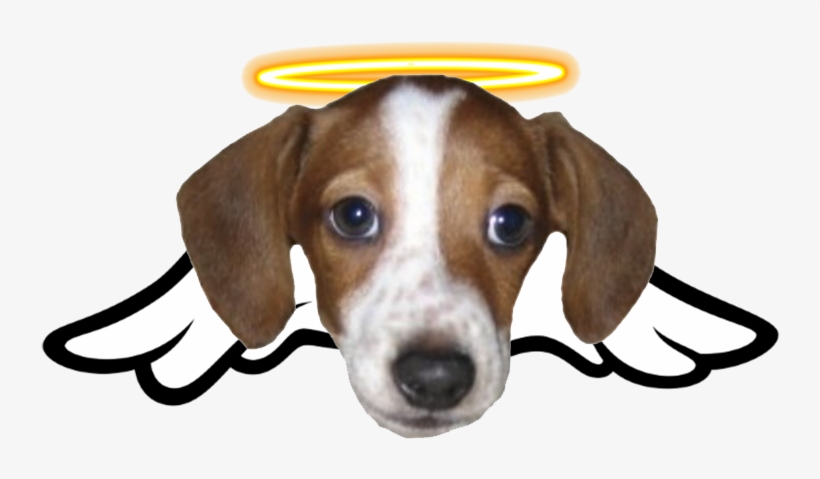243 - Frankerz Emote, transparent png