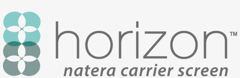 Carrier Test - Horizon Carrier Screen, transparent png
