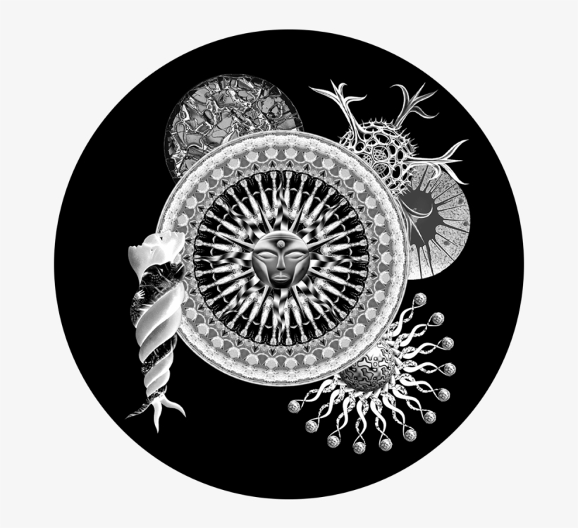 Tribal - Poltekes Kendari, transparent png