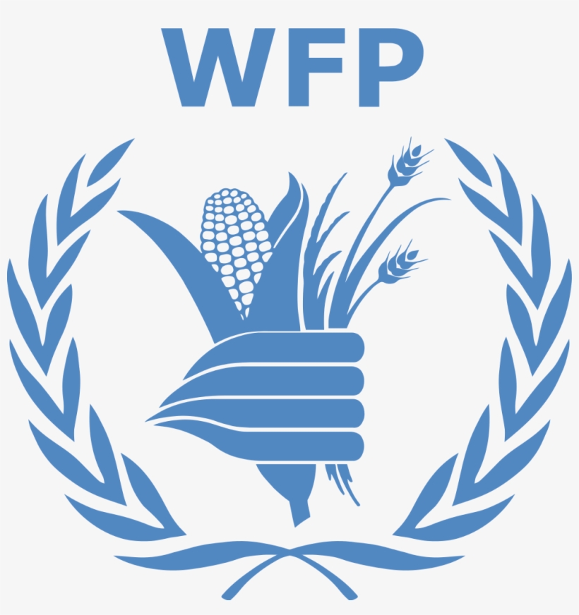 Wfp Calls For Biometric System To Prevent Food Aid - World Food Programme Logo, transparent png