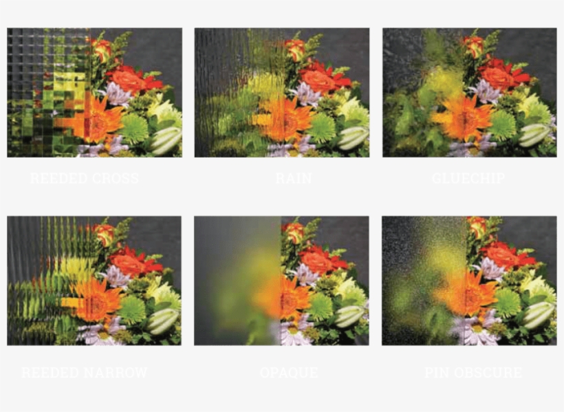 Privacy Glass Options - Tropical Milkweed, transparent png