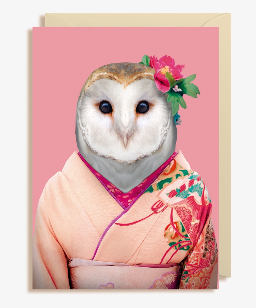 Zoo Portraits Owl, transparent png
