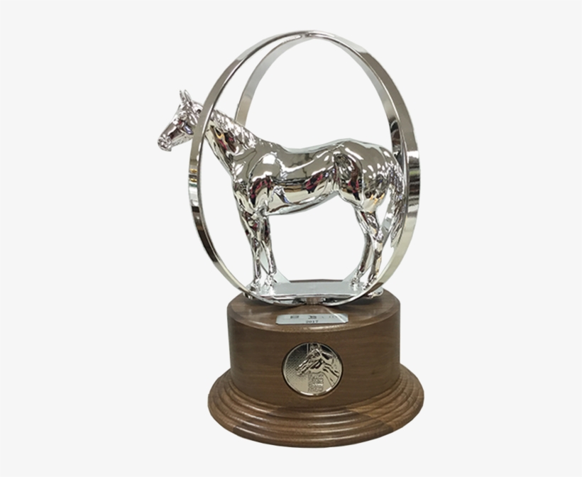 Aqha Reserve World Champion Duplicate Trophy - Aqha World Show Trophy, transparent png