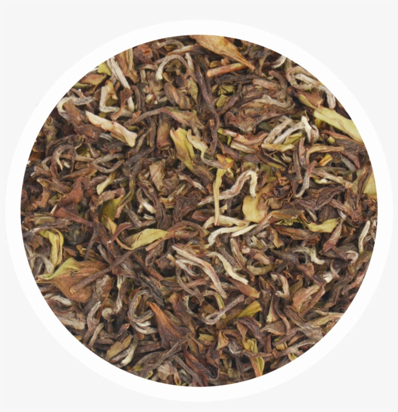 Avongrove Tea Estate Avongrove Tea Chaichun Tea - Biluochun, transparent png