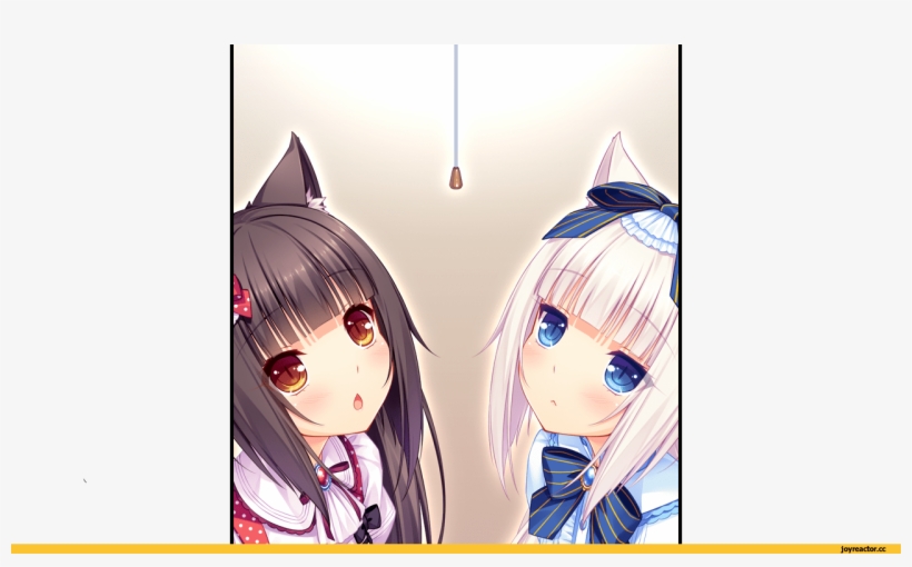 Nekopara 1280x734 Png Download Pngkit