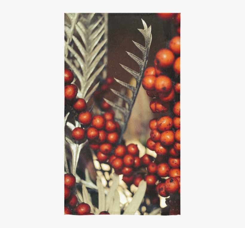 Superfood, transparent png