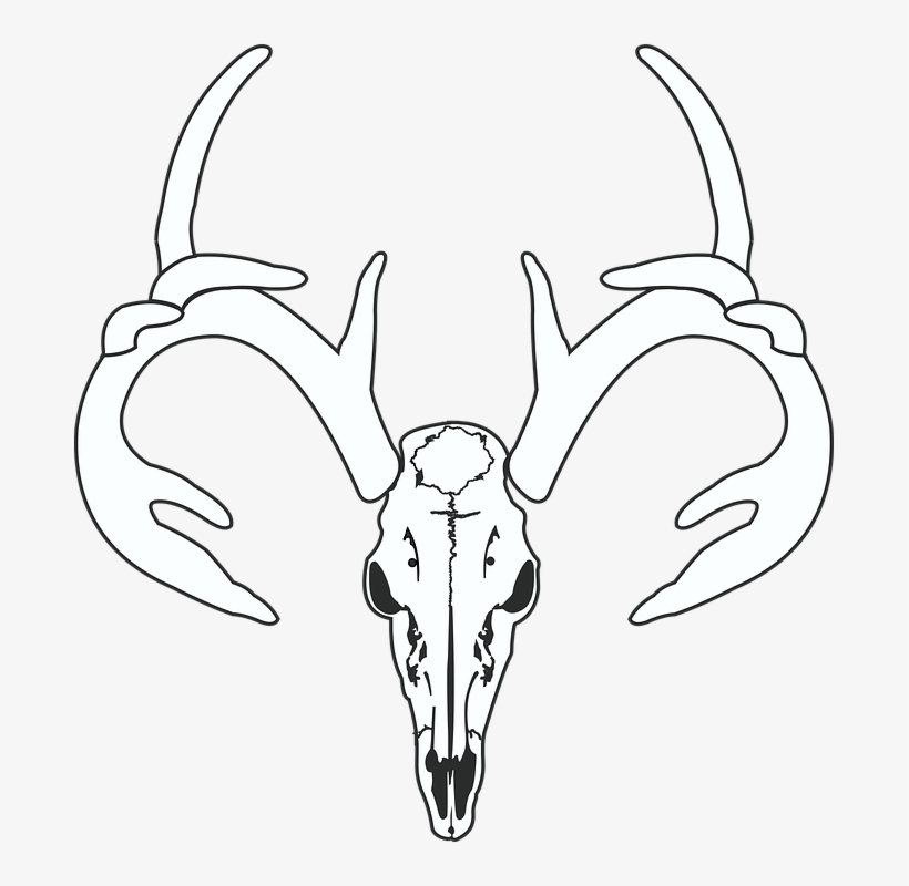 Deer Skull Png - Deer Skull White Logo, transparent png