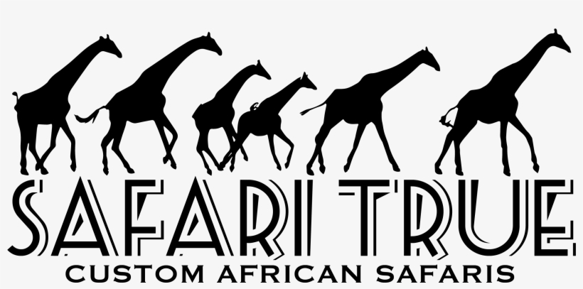 Logo - Safari True, transparent png
