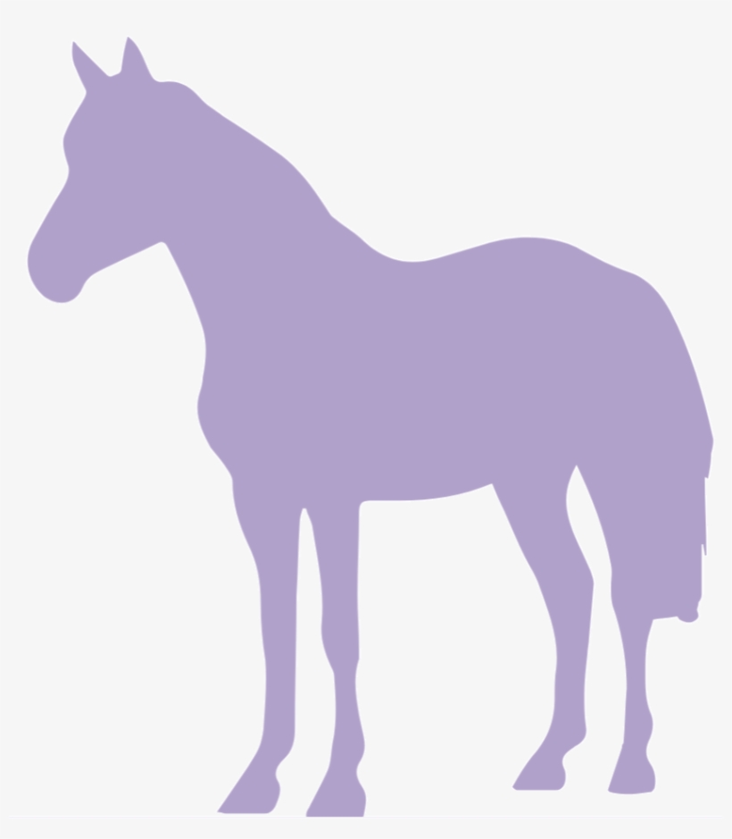 How Does Hippotherapy Help The Kiddos - Objetos Mirando A La Izquierda, transparent png