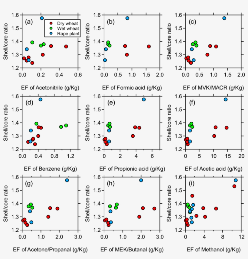 Variations In The Shell/core Ratios Of Rbc Particles - Diagram, transparent png