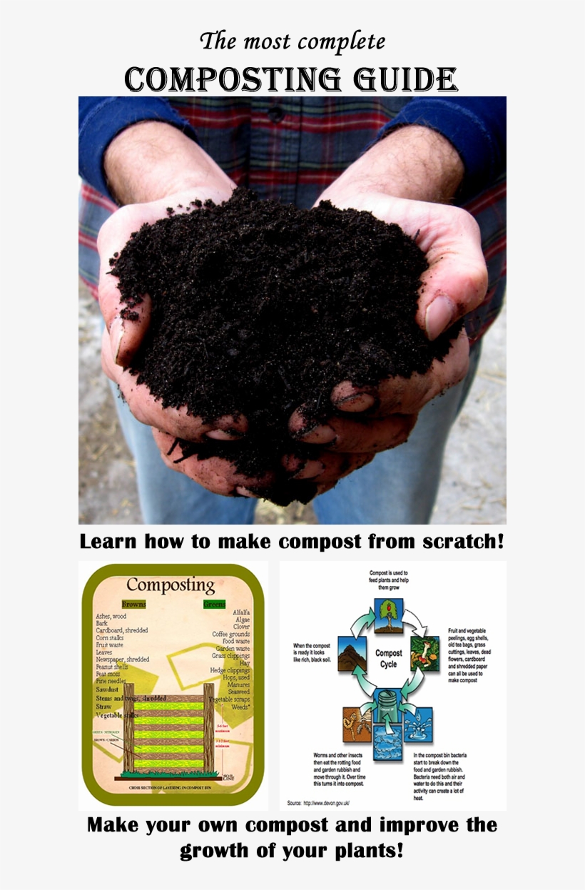 The Best Composting Guide Ever Learn Everything About - Composting, transparent png