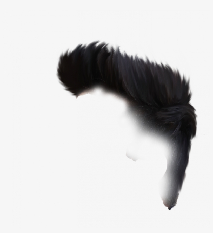 Hair Png - Caterpillar, transparent png