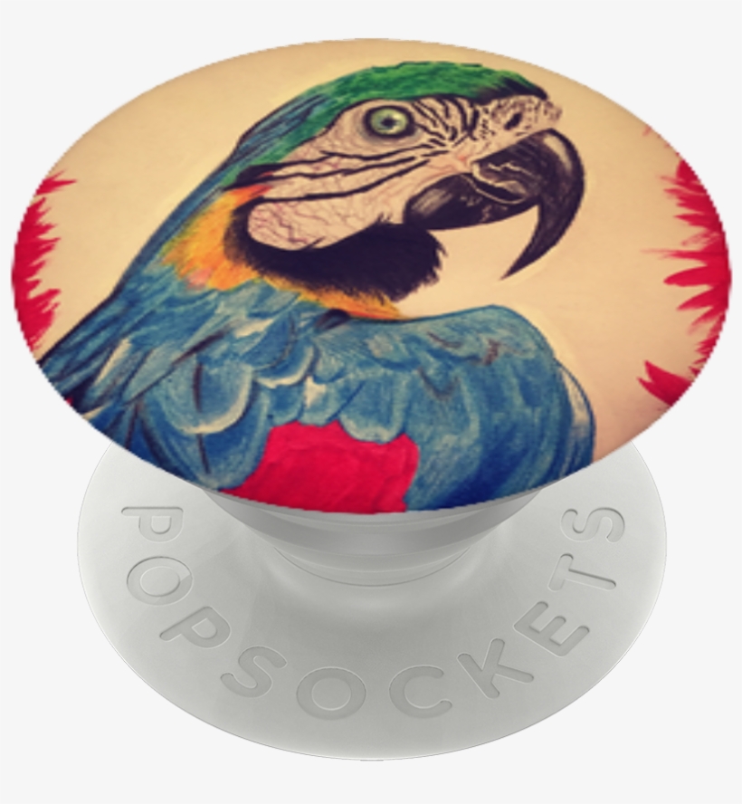 Macaw, Popsockets - Macaw, transparent png