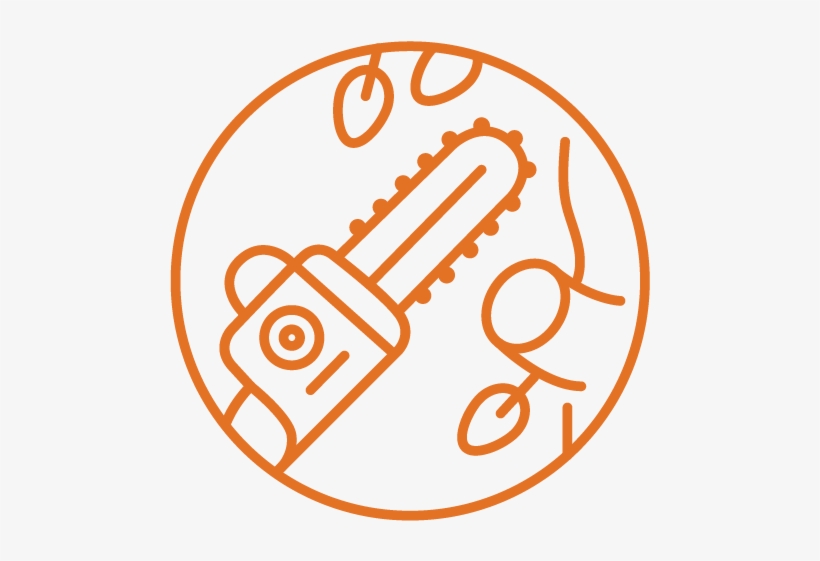 Tree Trimming Removal - Pan Am Logo Svg, transparent png