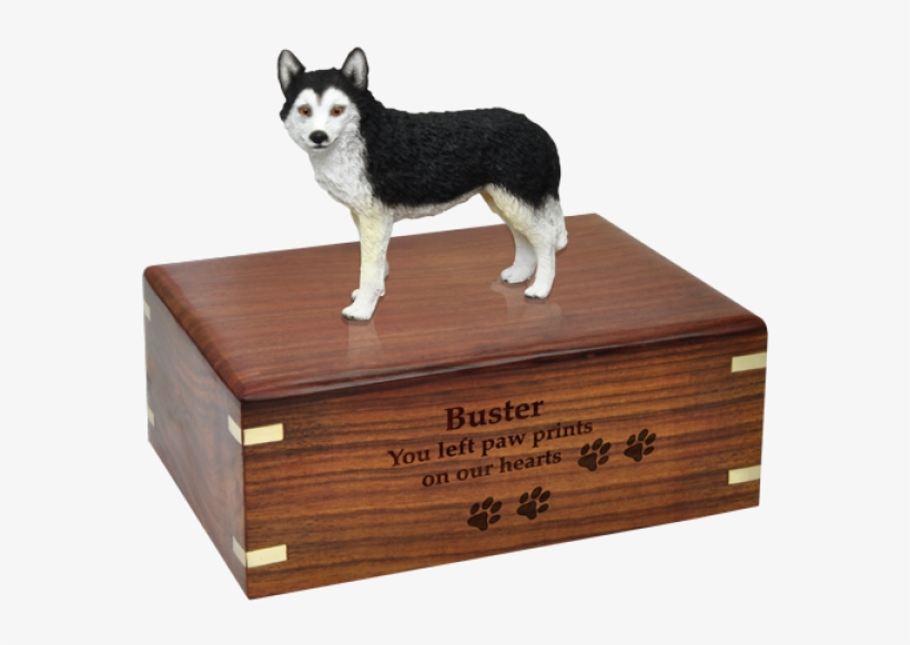 Black & White Husky With Brown Eyes Figurine With Urn - Dog Urns Pug, transparent png